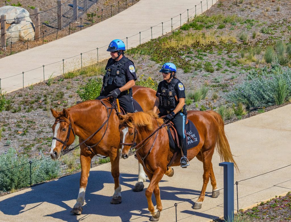 law enforcement college degree