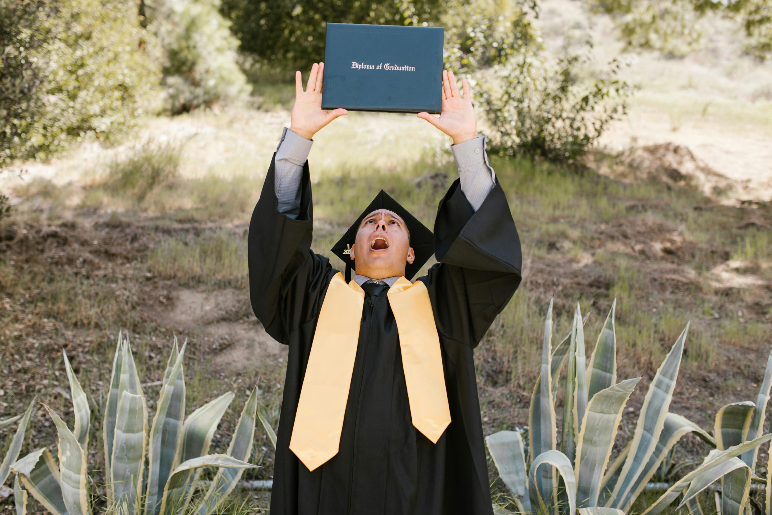 finish your degree