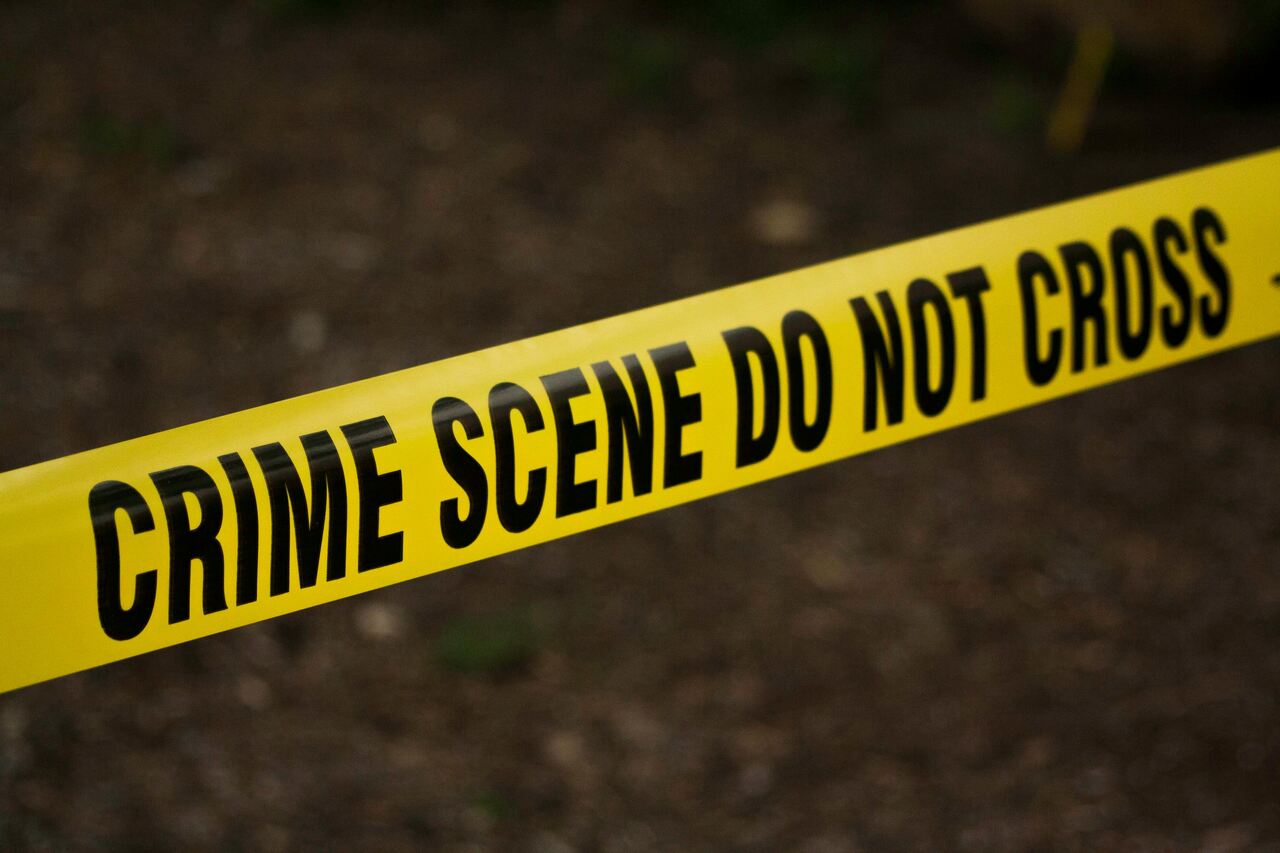 Introduction to Criminal Justice (CRJ 110)