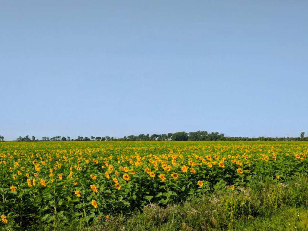 great north dakota jobs